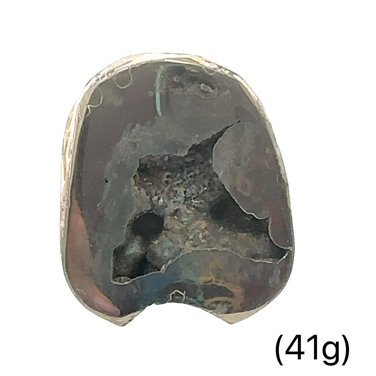 Ammonite with Pyrite gemstone slice, Raw gemstone