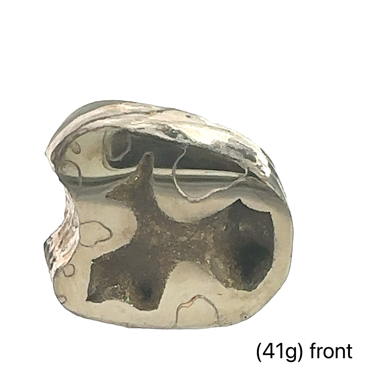 Ammonite with Pyrite gemstone slice, Raw gemstone