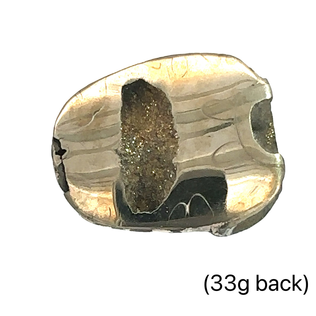 Ammonite with Pyrite gemstone slice, Raw gemstone