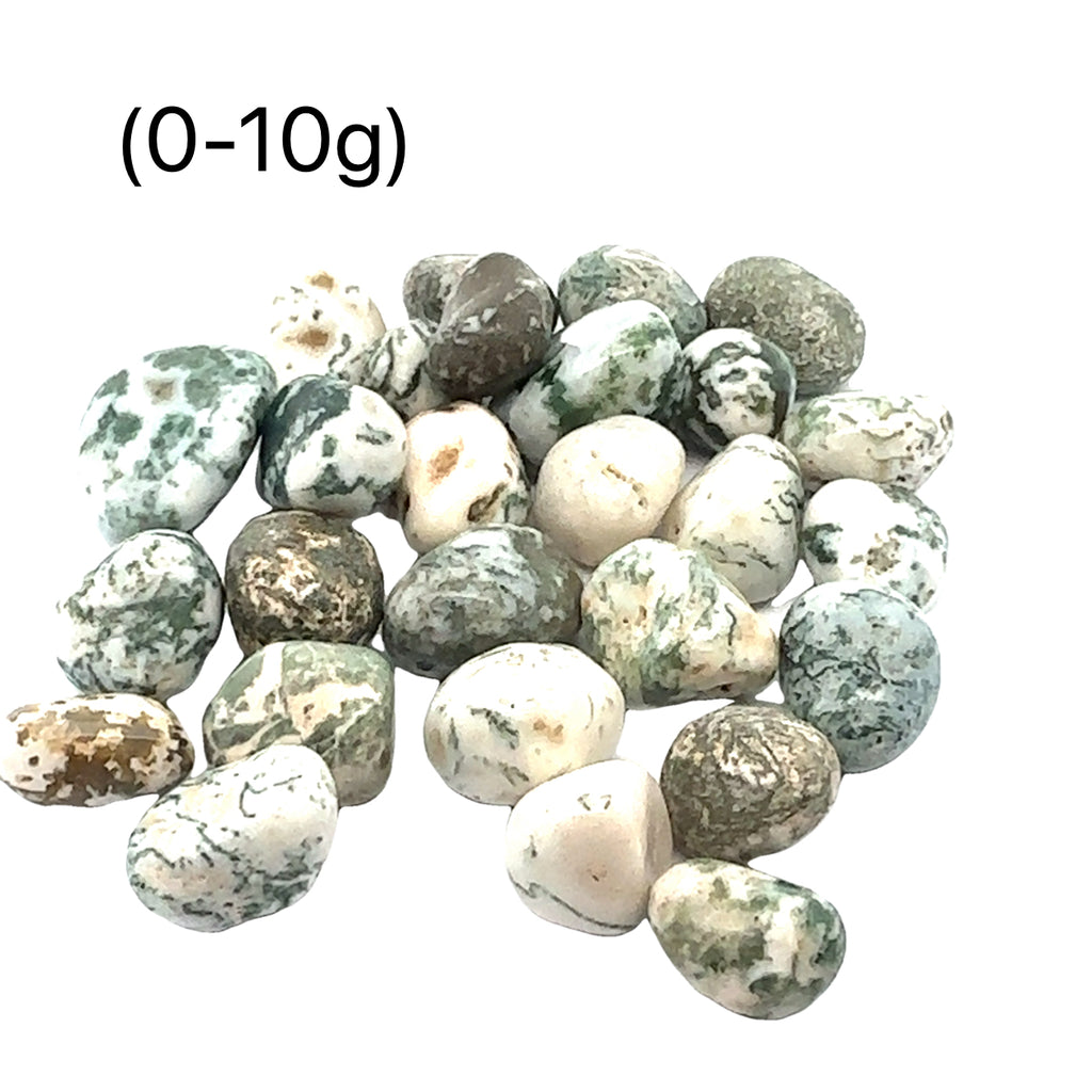 Tree Agate tumbled gemstone