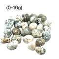 Tree Agate tumbled gemstone