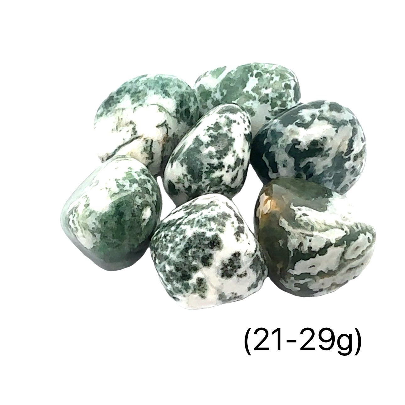 Tree Agate tumbled gemstone