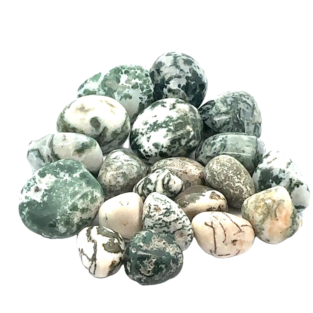 Tree Agate tumbled gemstone