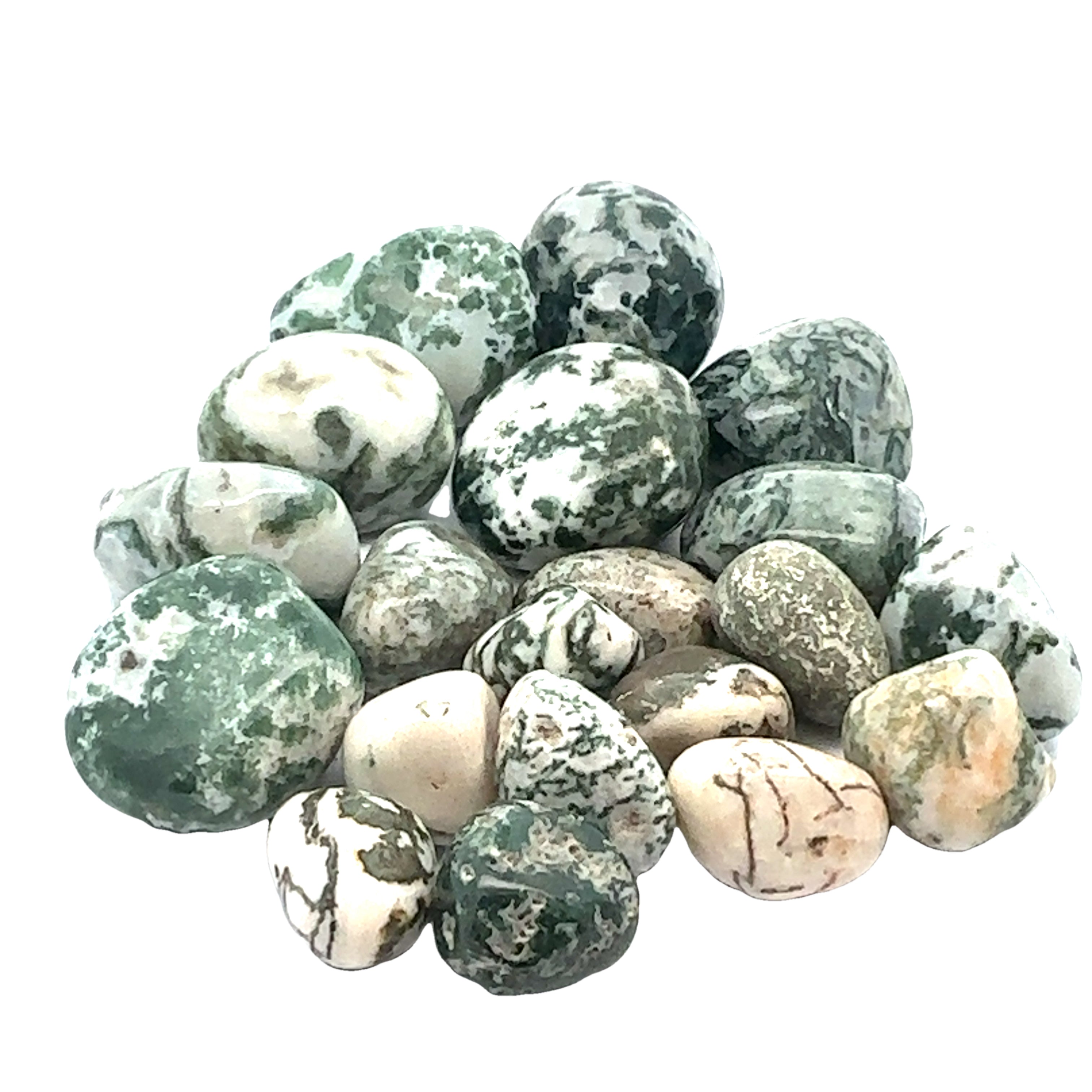 Tree Agate tumbled gemstone