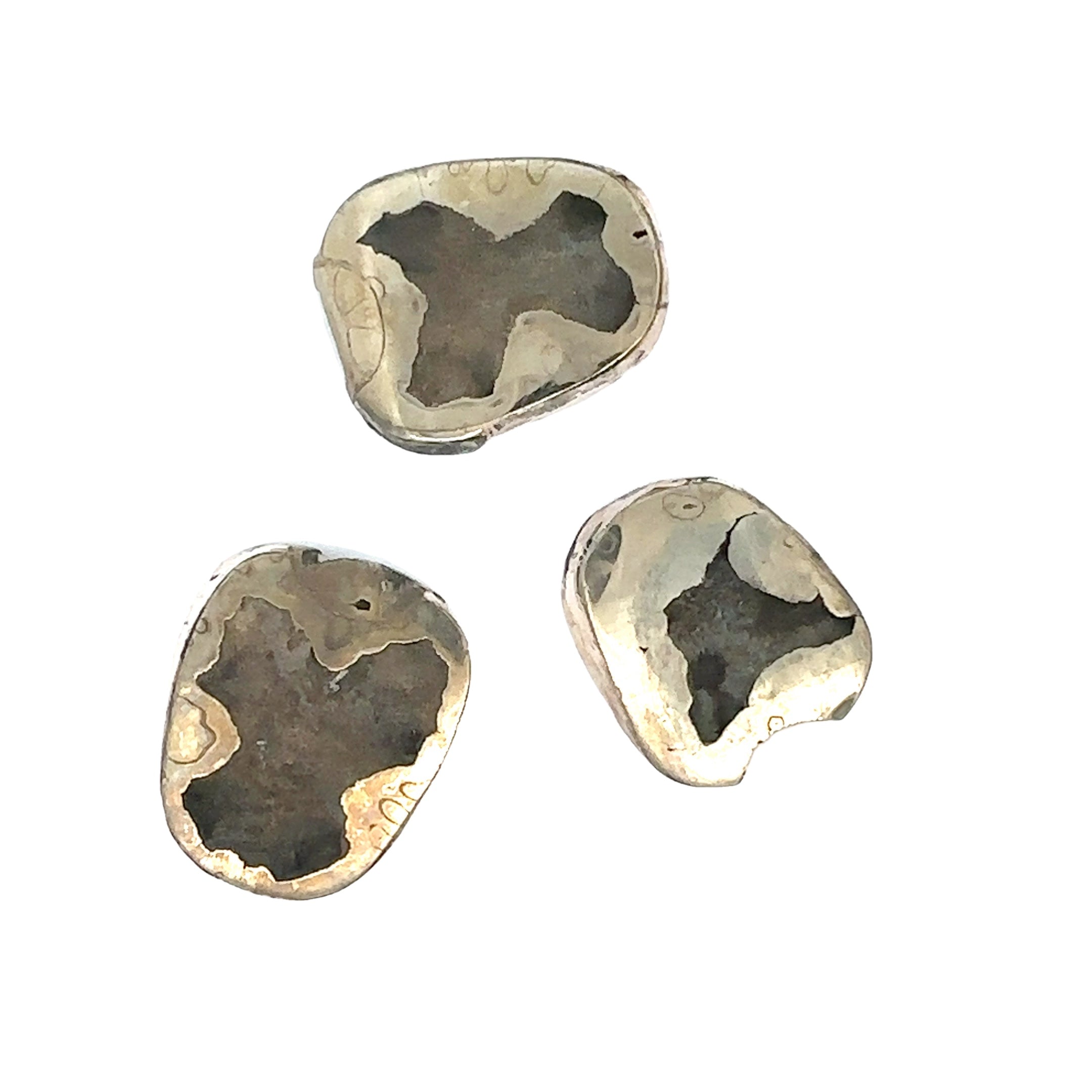Ammonite with Pyrite gemstone slice, Raw gemstone