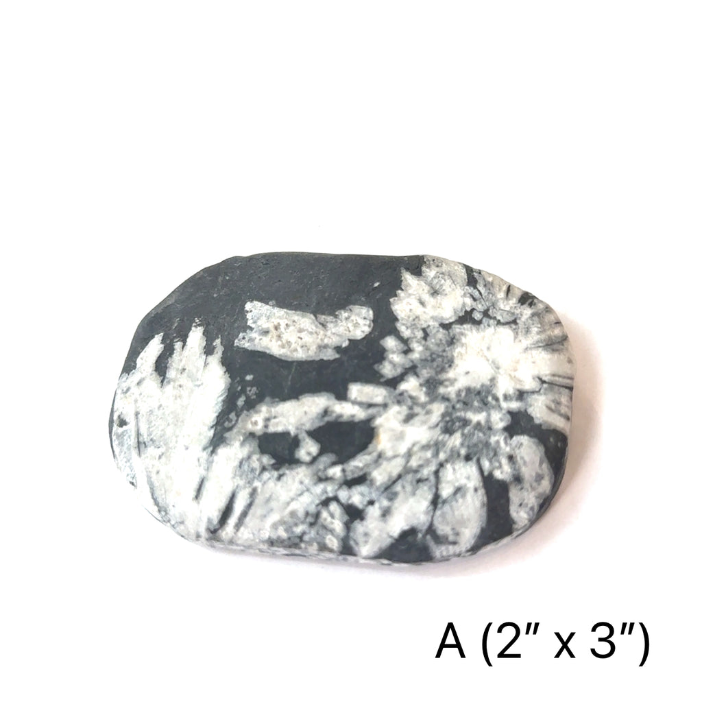 A Chrysanthemum palm stone #A  on a white background, front overview.