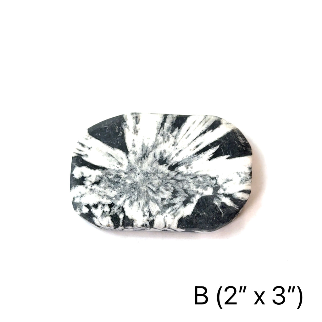 A Chrysanthemum palm stone #B  on a white background, front overview.