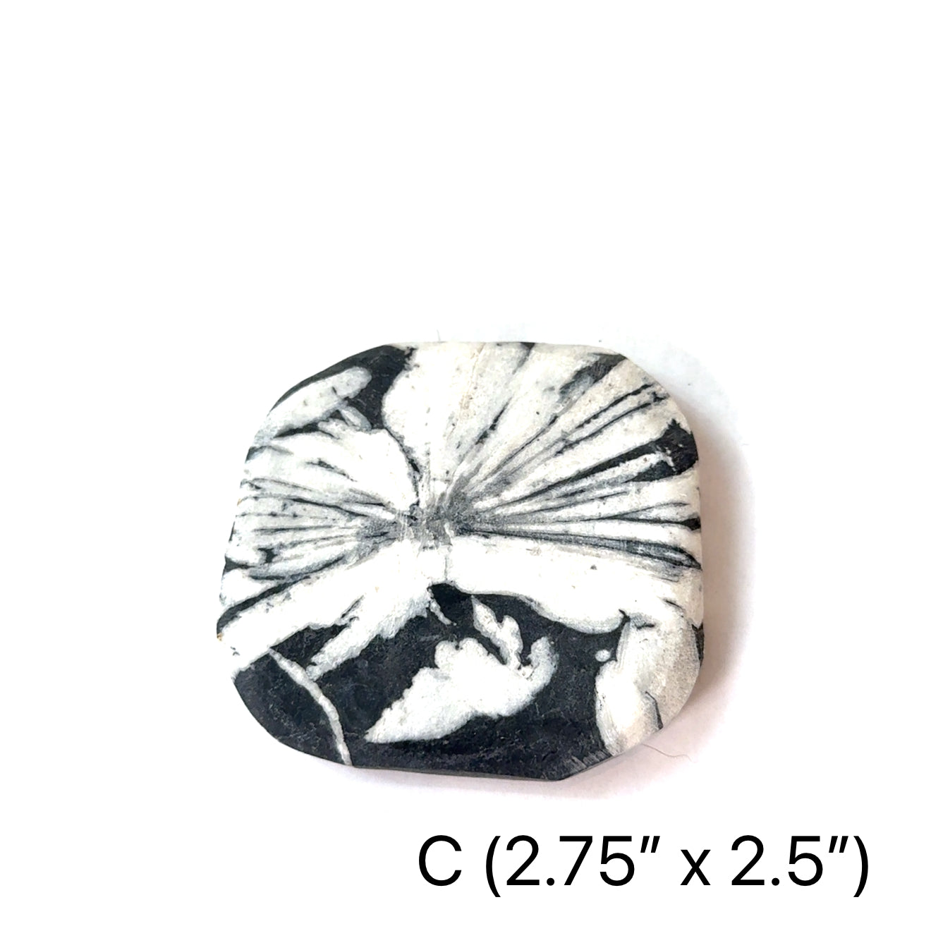 A Chrysanthemum palm stone #C  on a white background, front overview.