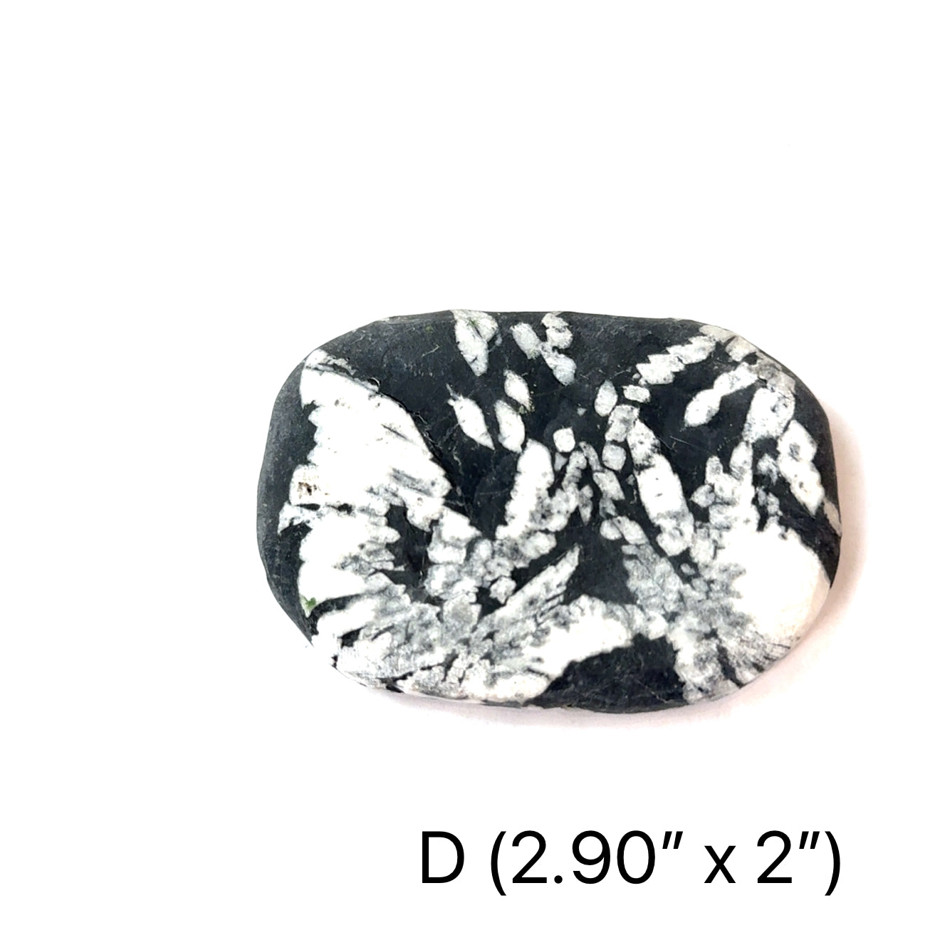 A Chrysanthemum palm stone #D  on a white background, front overview.
