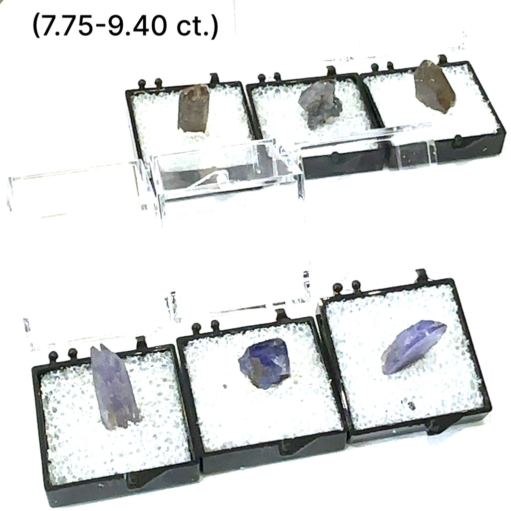 A Close-up of Tanzanite crystal in perky boxes showing deep violet-blue hues, on a white background, front view. size (7.75-9.40ct) gem grade.
