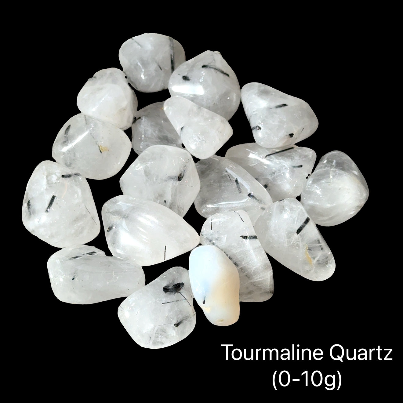 A collection of Tourmalinated Quartz tumbled gemstones displayed on a Black background, (0-10g) weight range, front overview.