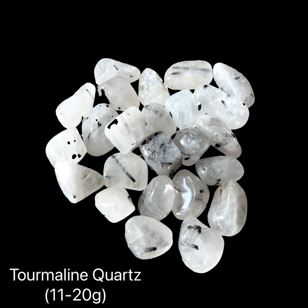 A collection of Tourmalinated Quartz tumbled gemstones displayed on a Black background, (11-20g) weight range, front overview.