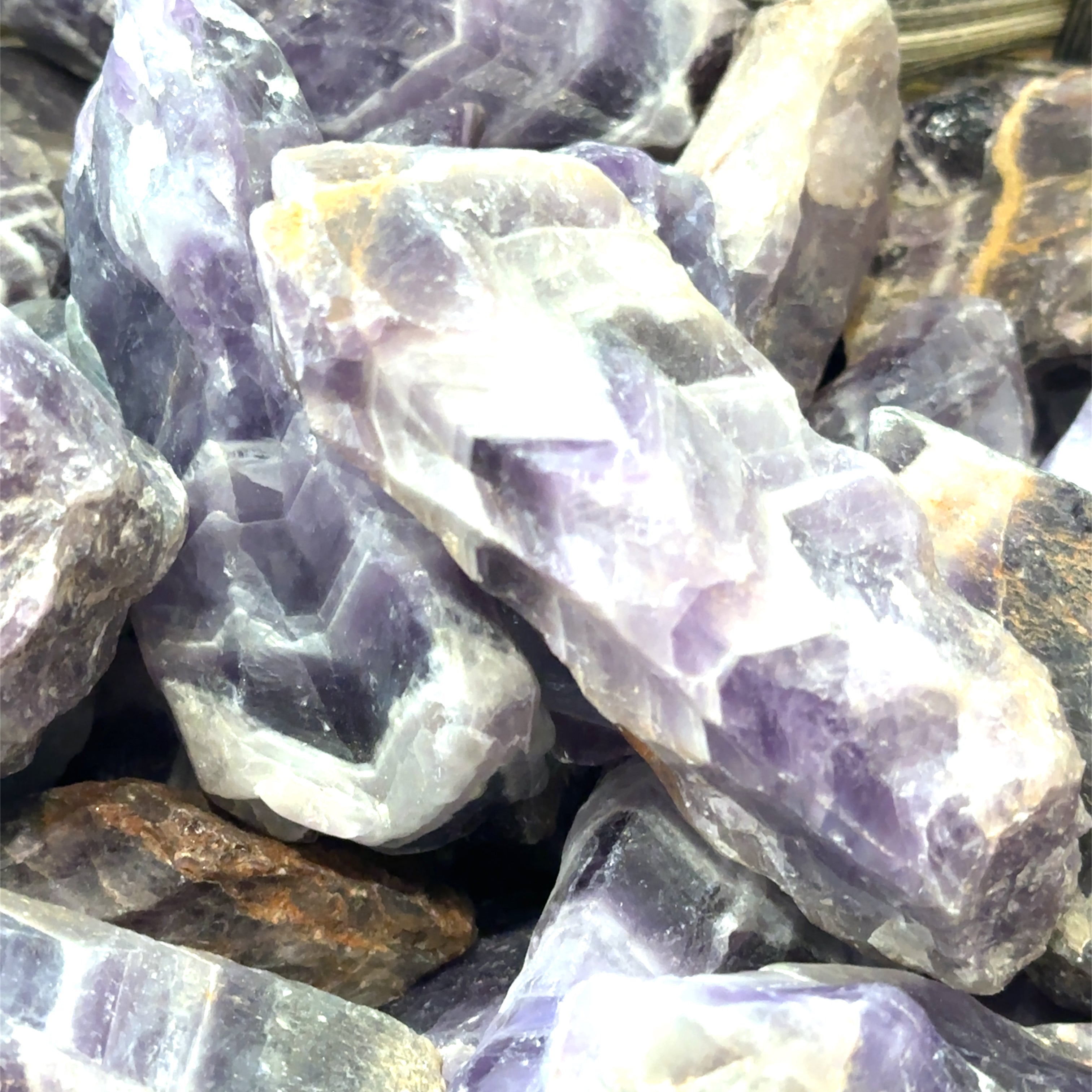 A collection of raw Amethyst or Prasiolite gemstones with a purple and green color range, showing natural crystal forms on a white background, front view.