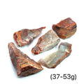 A collection of raw Petrified Wood gemstones, presented against a white background, with weight (37-53g), front, and overview. 