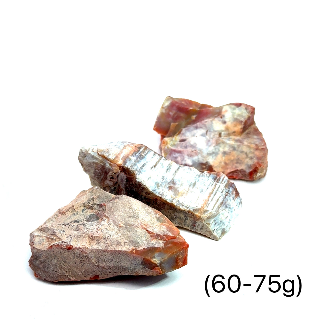A collection of raw Petrified Wood gemstones, presented against a white background, with weight (60-75g), front, and overview. 