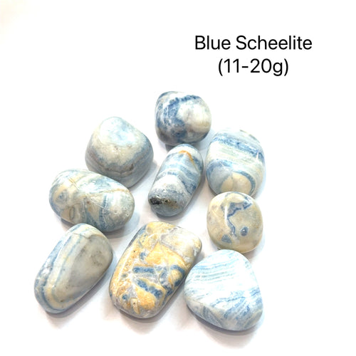 A group blue scheelite stones on a white background with text indicating the weight range of (11-20g), overview.