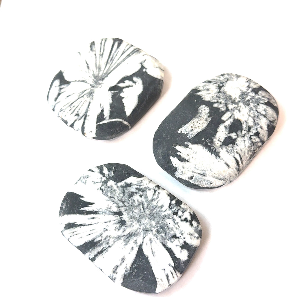 A group of Chrysanthemum palm stones on a white background, front overview. 