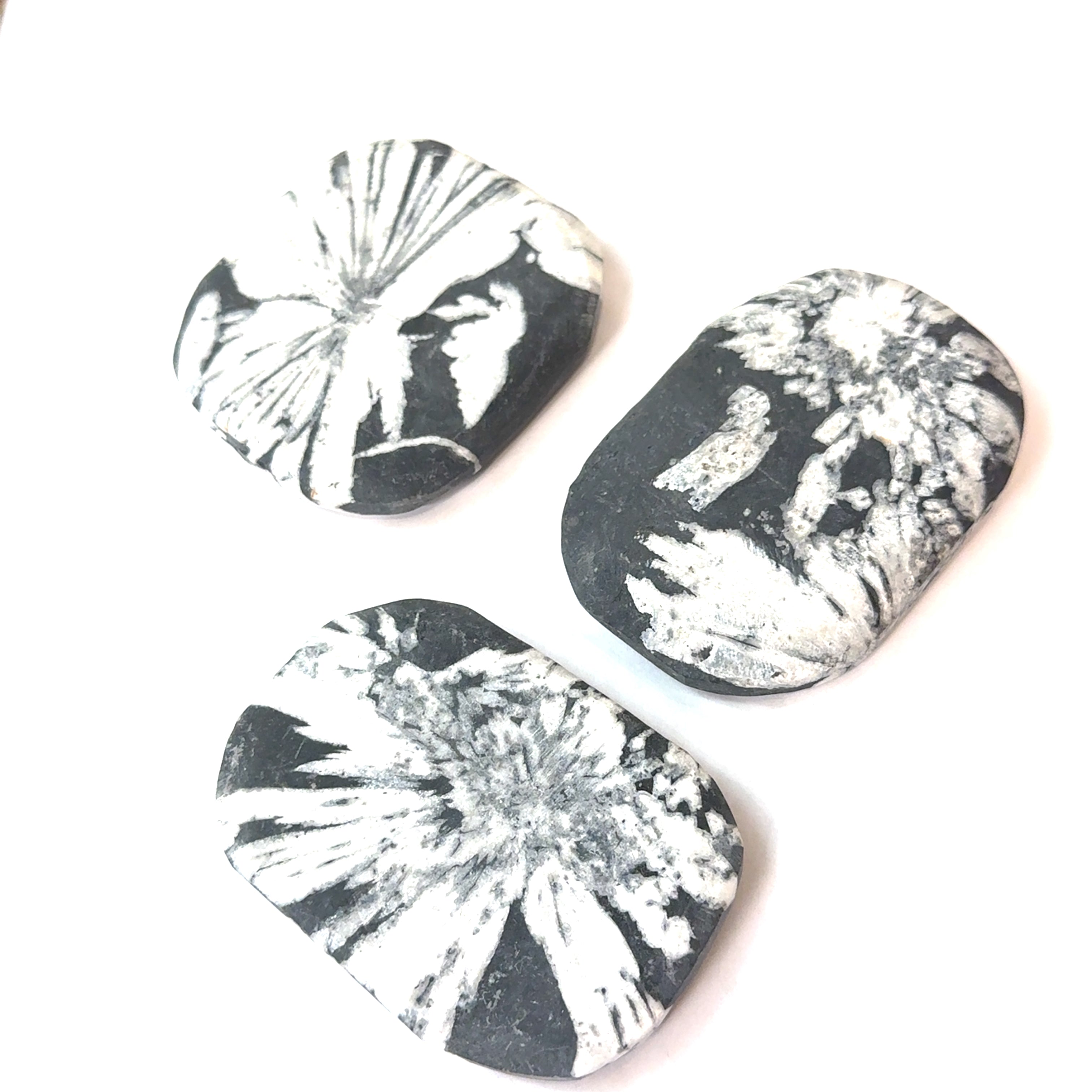 A group of Chrysanthemum palm stones on a white background, front overview. 
