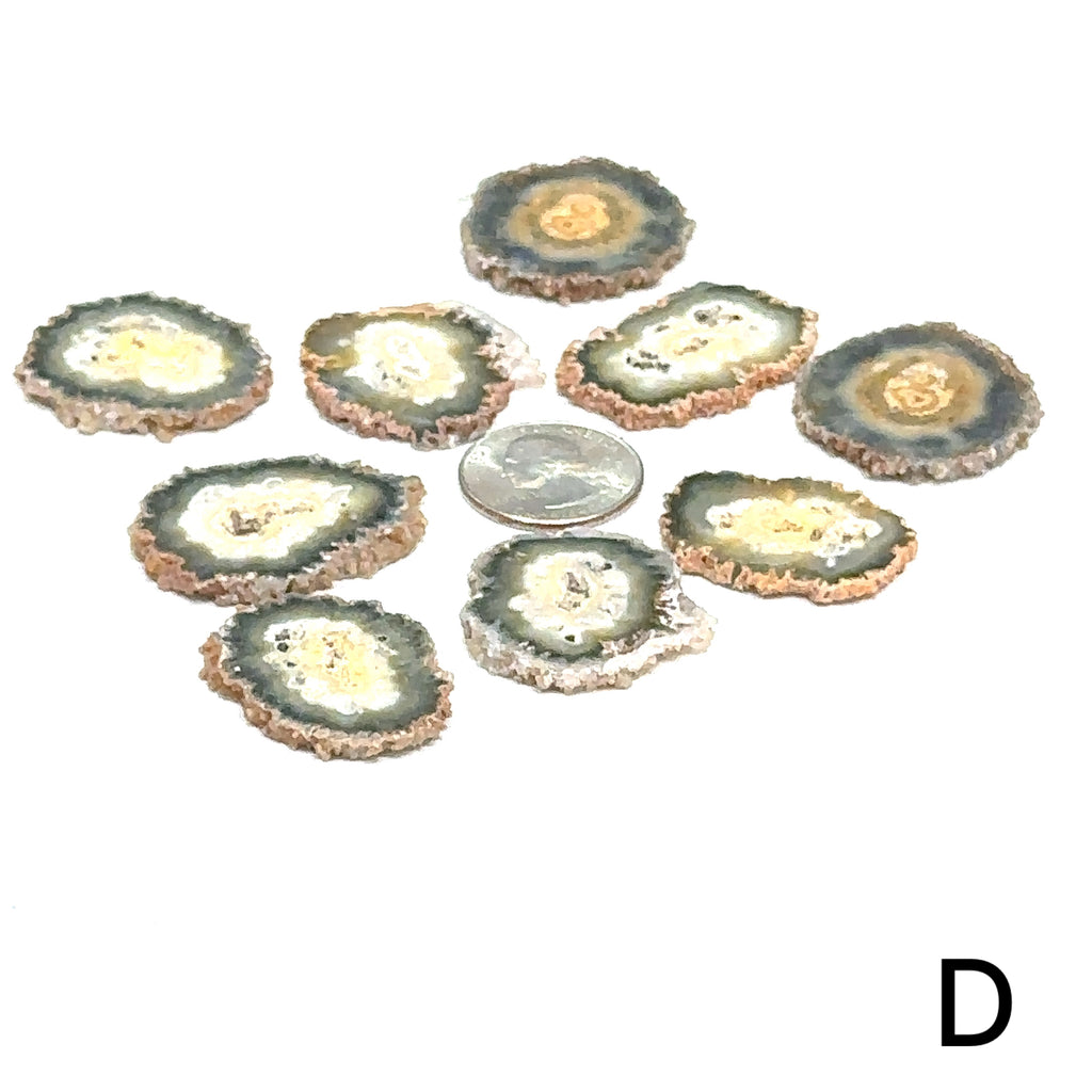 Agate crystal slice with free information card included #D grouping with quartter in the center for sizing