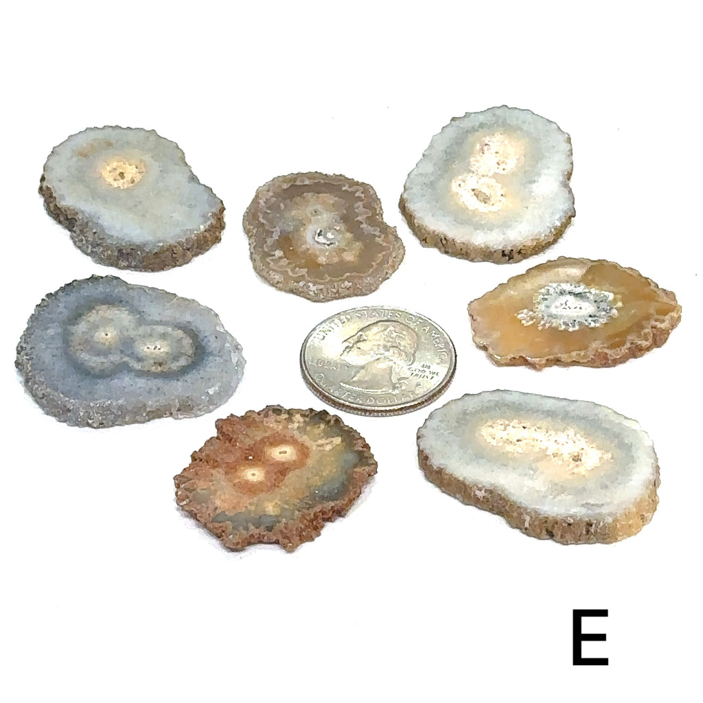 Agate crystal slice with free information card included #E grouping with quarter in the center for sizing