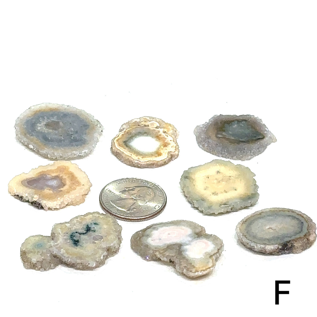 Agate crystal slice with free information card included #F grouping with quarter in the center for sizing
