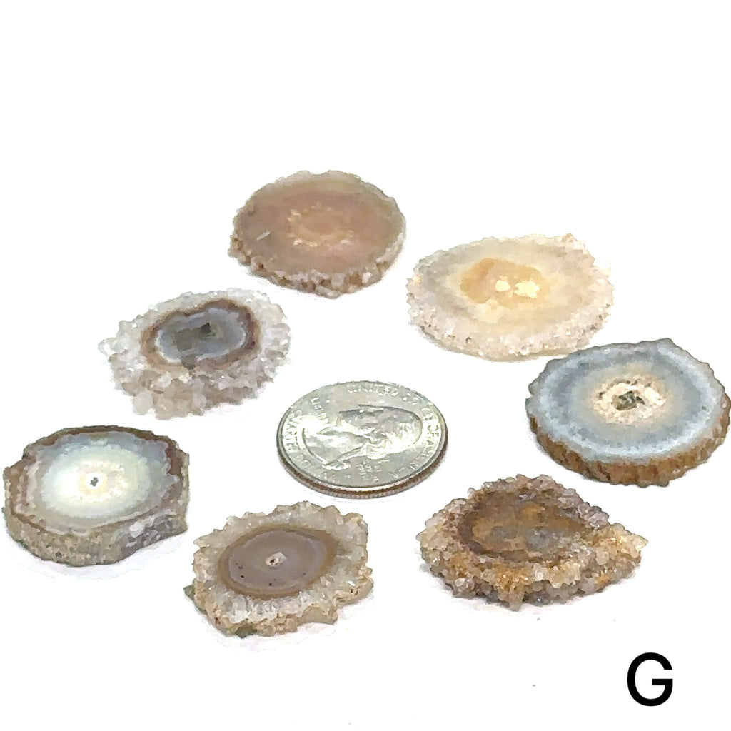 Agate crystal slice with free information card included #G grouping with quarter in the center for sizing