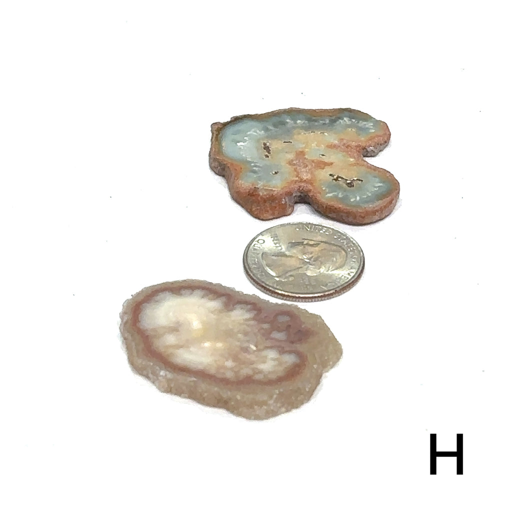 Agate crystal slice with free information card included #H in the center for sizing