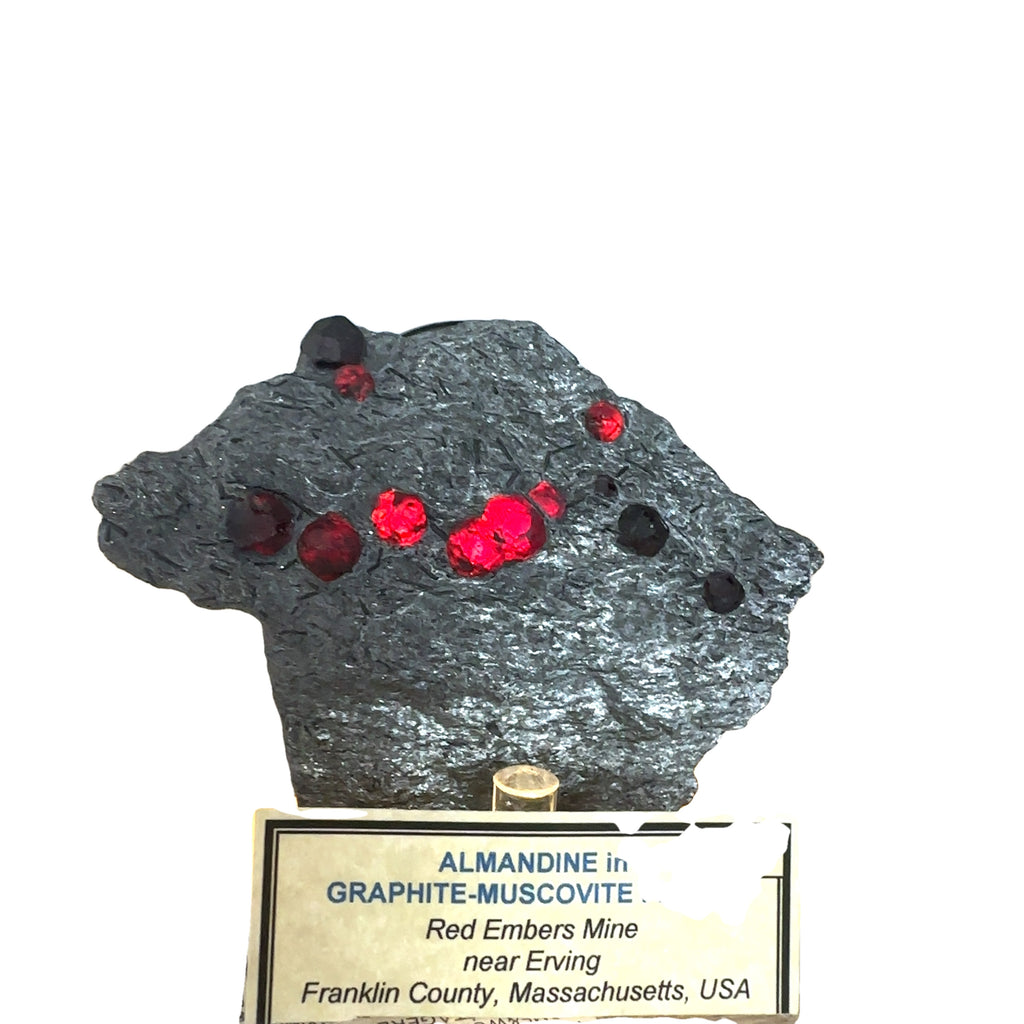 Almandine Garnet Raw Gemstone with Graphite on white displayed with stand and information card front view