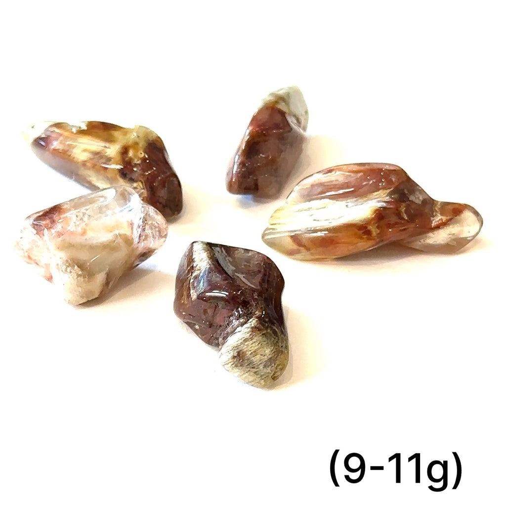 Amphibole Quartz stone promoting inner peace, joy, and kindness grouping of (9-11g) on white overview