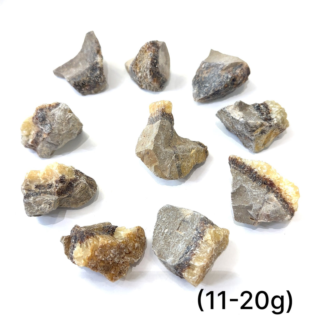 Assorted raw Septarian stones showing natural variations in color and pattern, symbolizing grounding energy (11-20g) on white overview