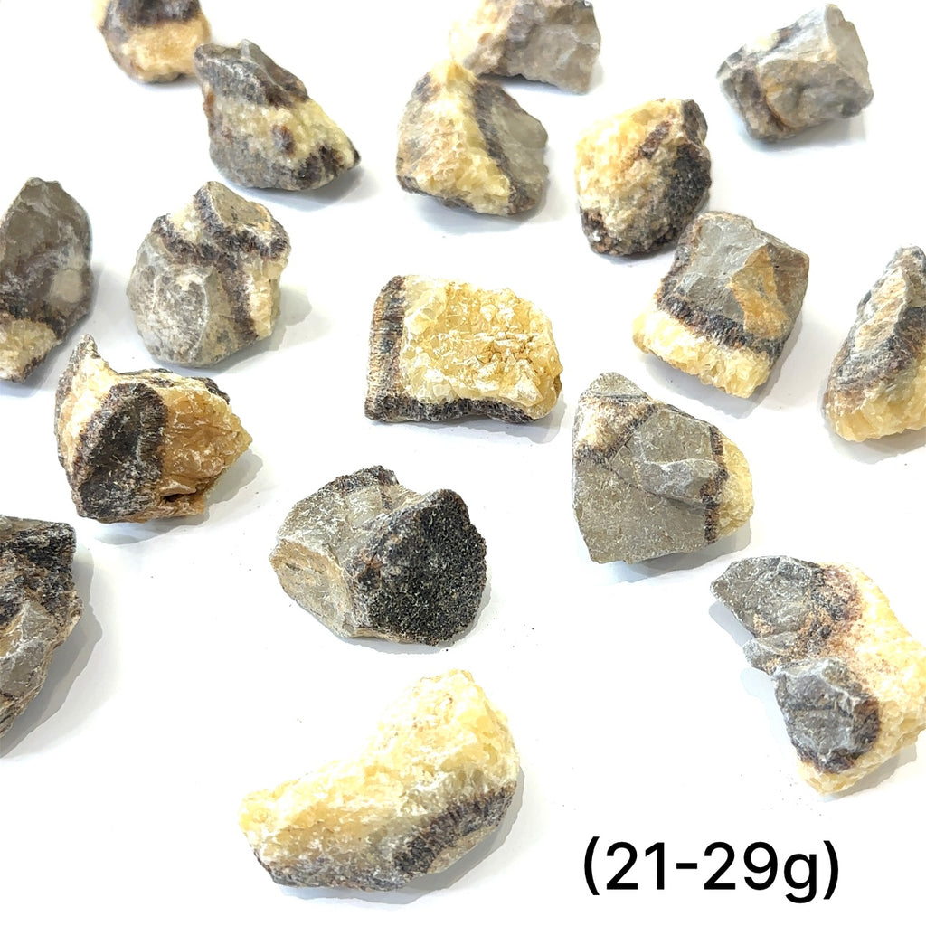 Assorted raw Septarian stones showing natural variations in color and pattern, symbolizing grounding energy (21-29g) on a white overview