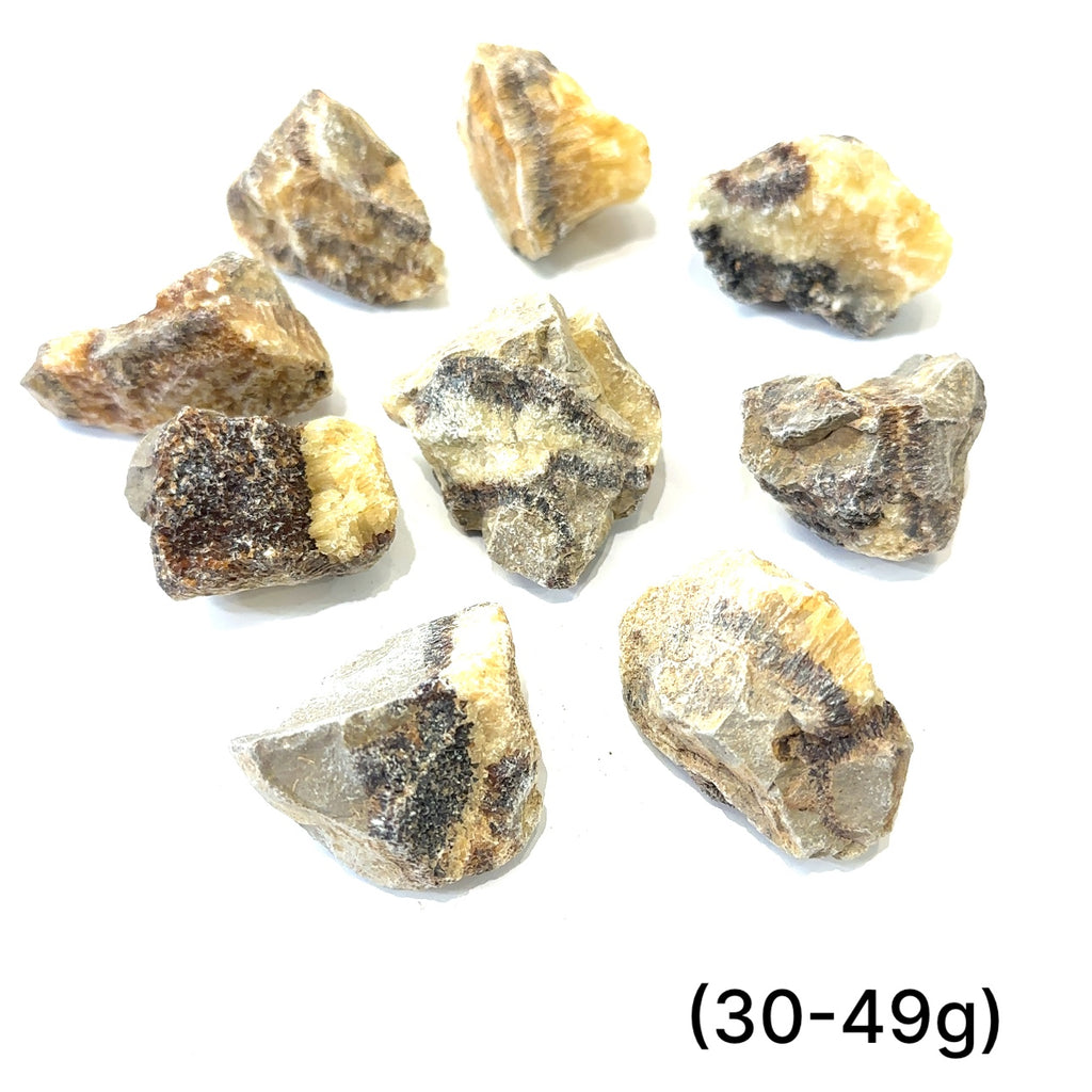 Assorted raw Septarian stones showing natural variations in color and pattern, symbolizing grounding energy (30-49g) on white overview