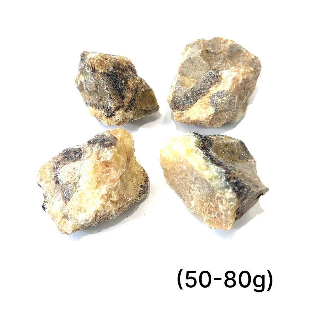 Assorted raw Septarian stones showing natural variations in color and pattern, symbolizing grounding energy (50-80g) on white overview