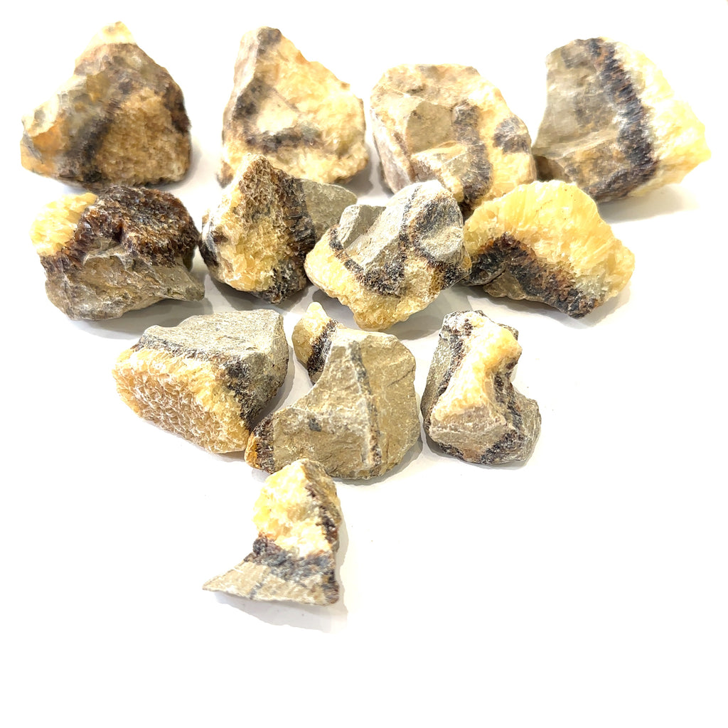 Assorted raw Septarian stones showing natural variations in color and pattern, symbolizing grounding energy on white overview