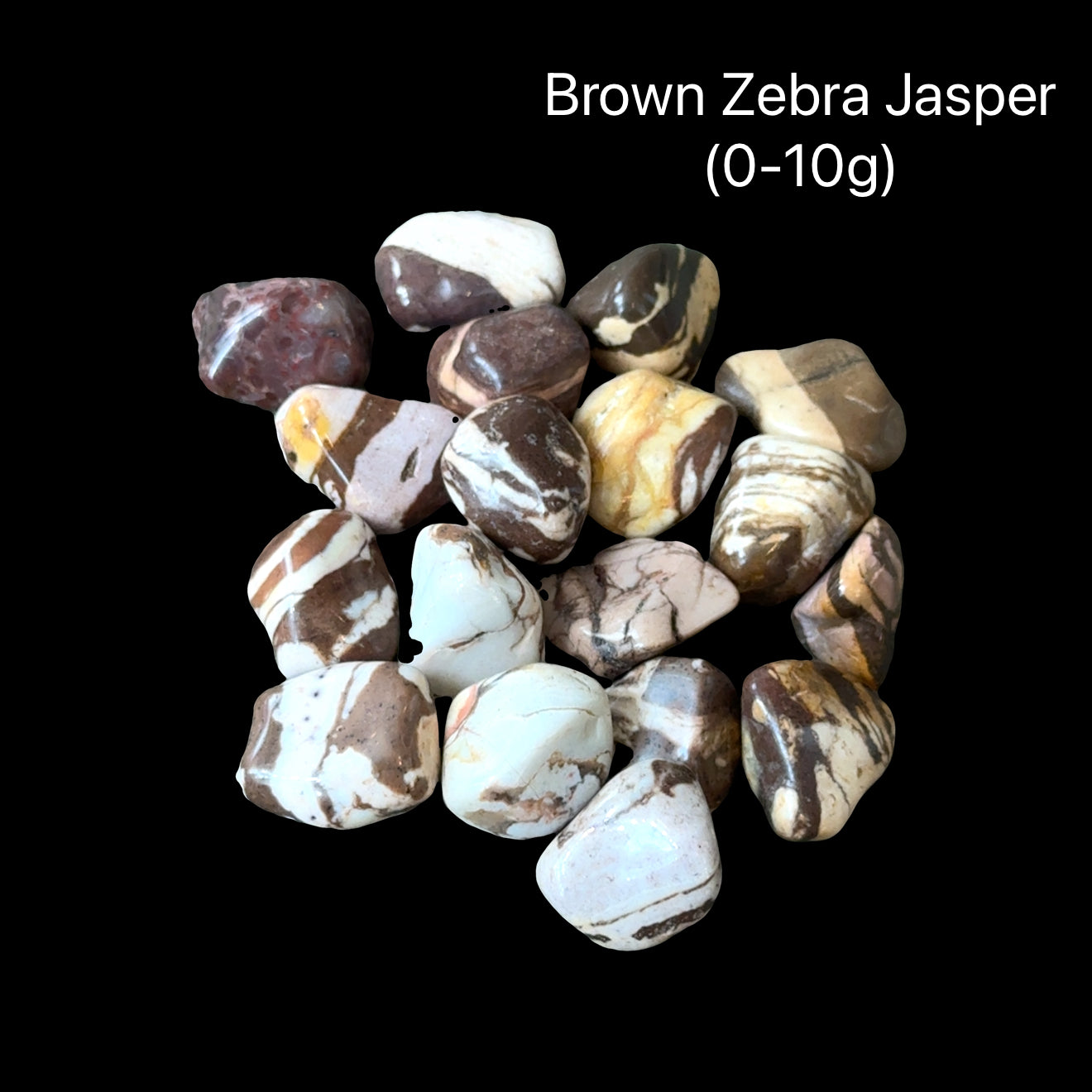 Brown Zebra Jasper stones on a black background with text indicating weight range (0-10g), front overview. 