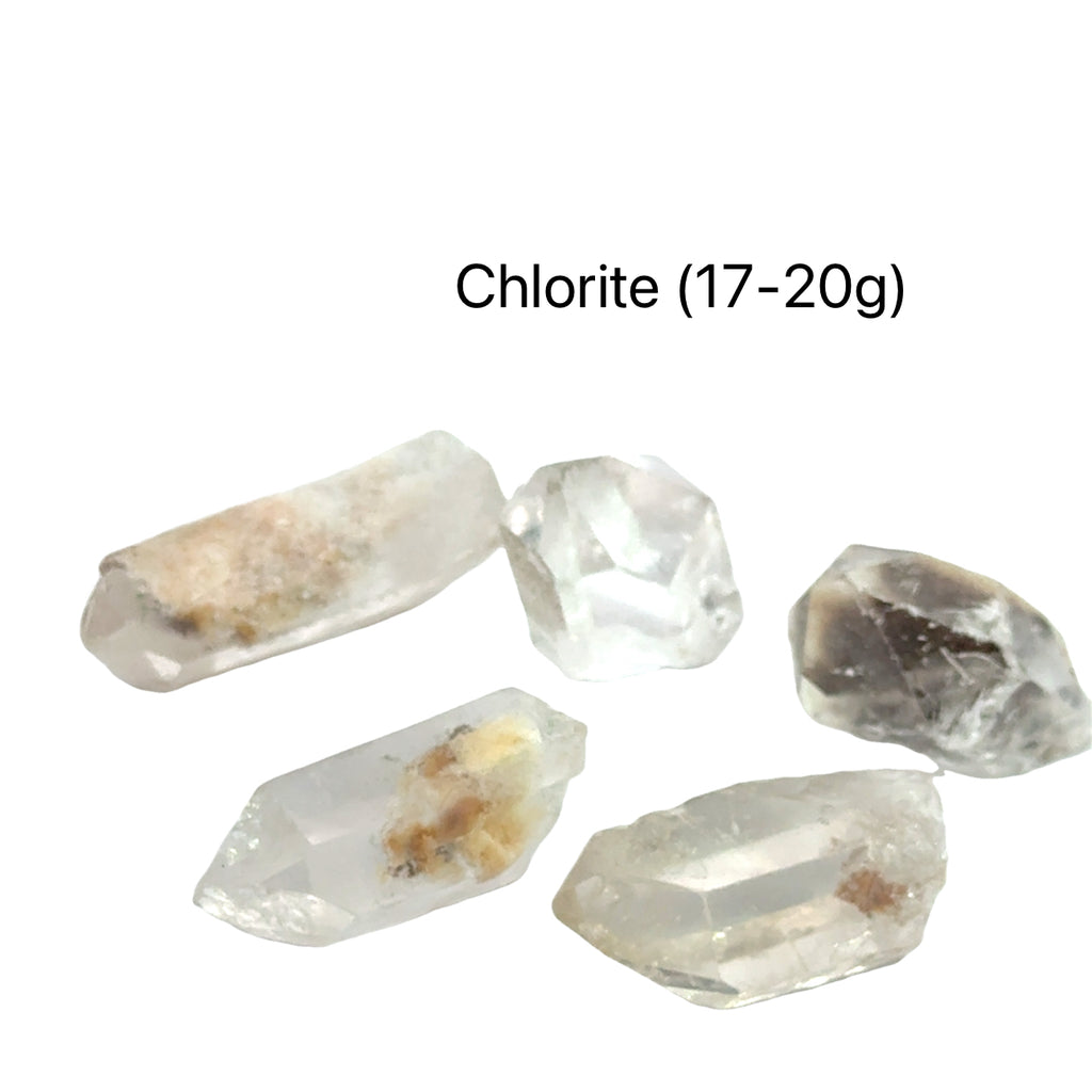 Chlorite Quartz Gemstone Point grouping 17-20g on white front view