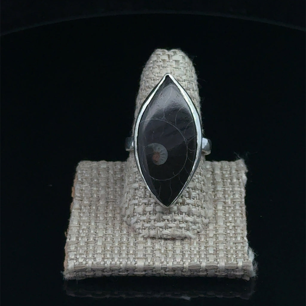 Close-up of ammonite fossil pattern and bezel setting displayed on a ring shank on a black background front view. 