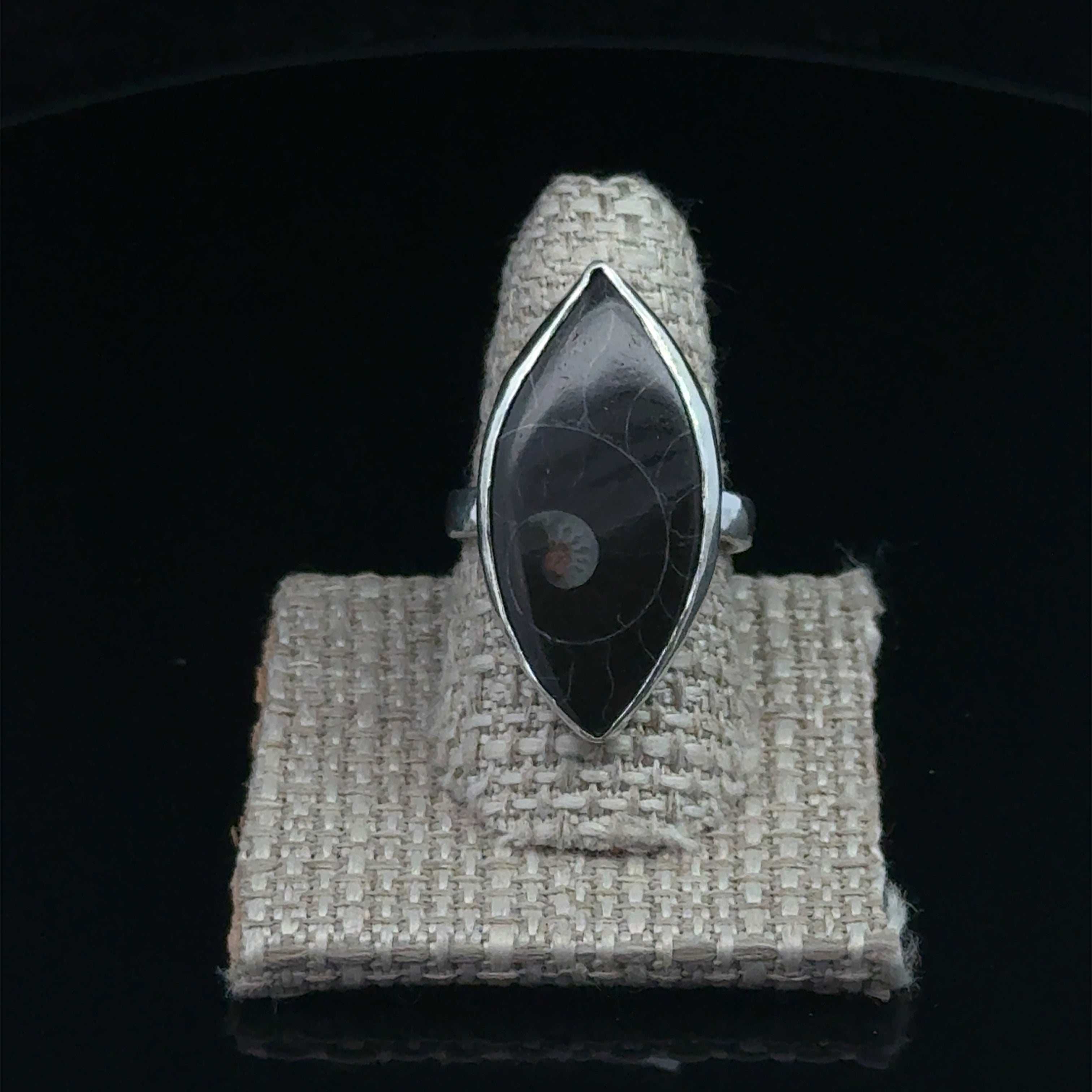 Close-up of ammonite fossil pattern and bezel setting displayed on a ring shank on a black background front view. 