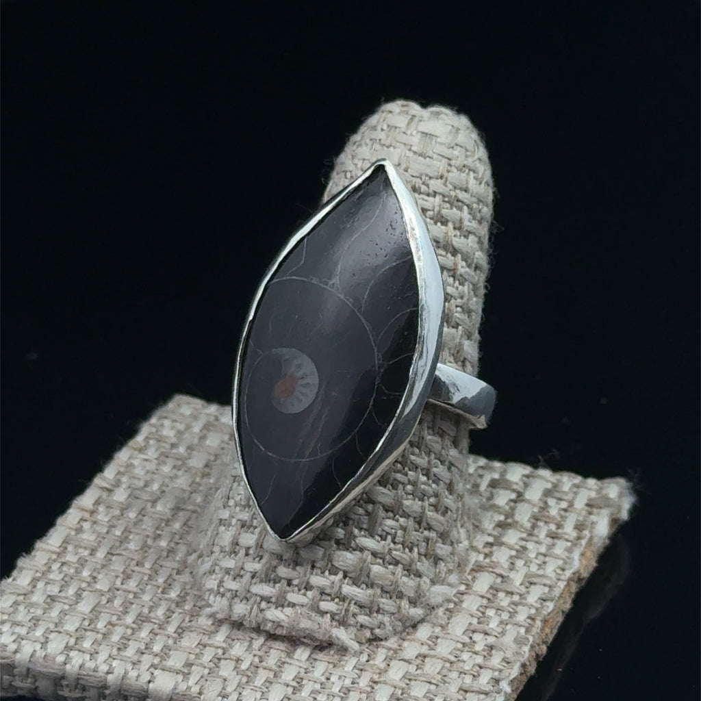 Close-up of ammonite fossil pattern and bezel setting displayed on a ring shank on a black background slight left view. 