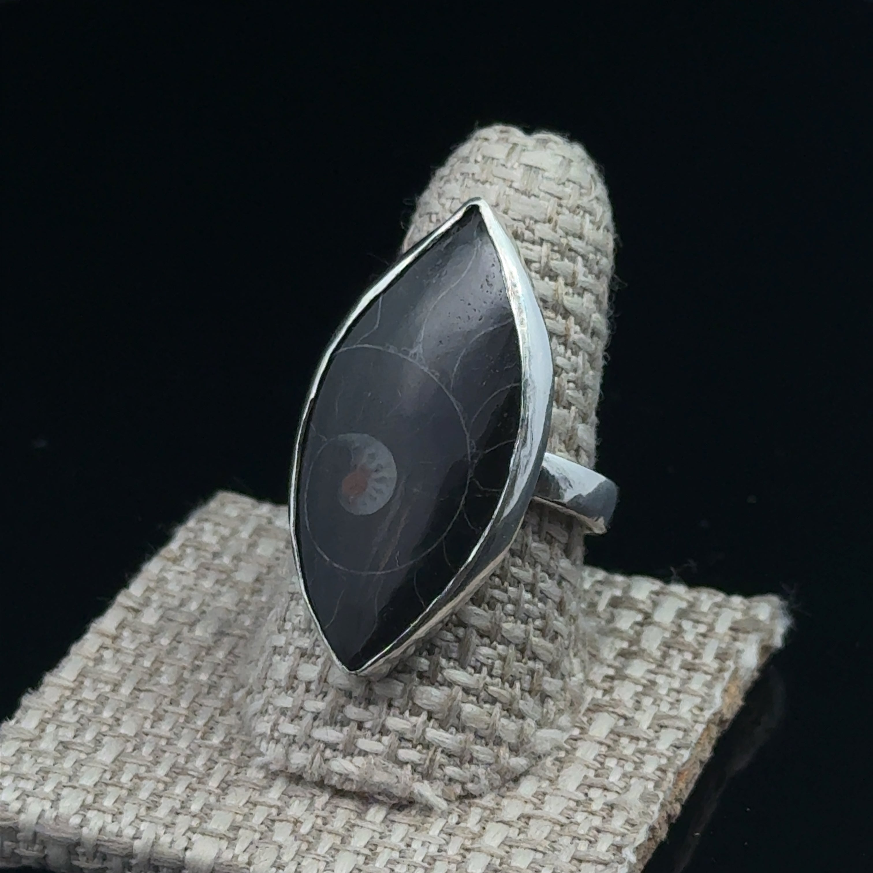 Close-up of ammonite fossil pattern and bezel setting displayed on a ring shank on a black background slight left view. 