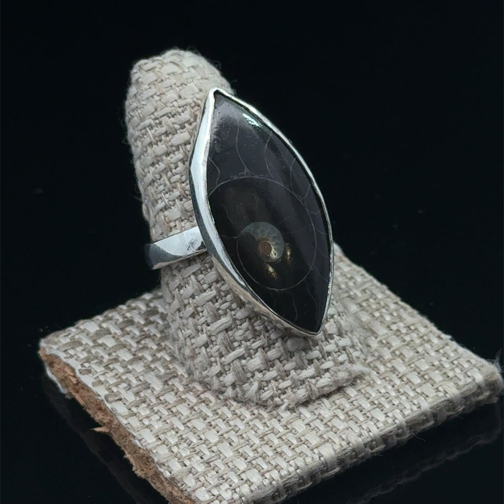 Close-up of ammonite fossil pattern and bezel setting displayed on a ring shank on a black background slight right view. 