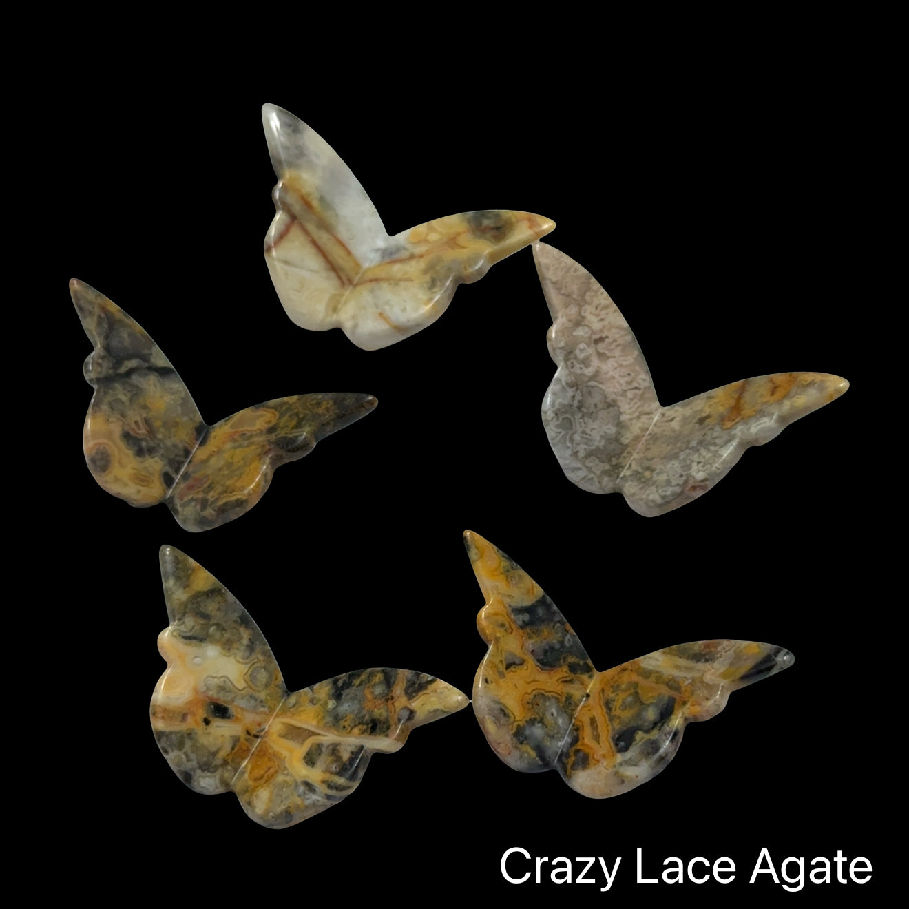 Crazy Lace Agate butterfly-shaped crystals on a black background, front view.