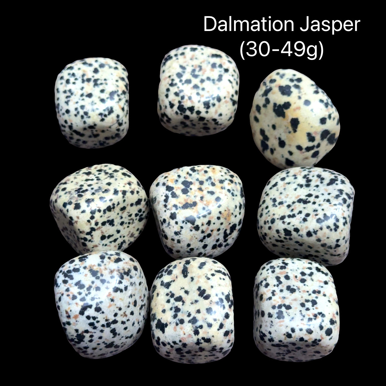 Dalmation Jasper stones with a weight range (30=49g) on a black background, front view.