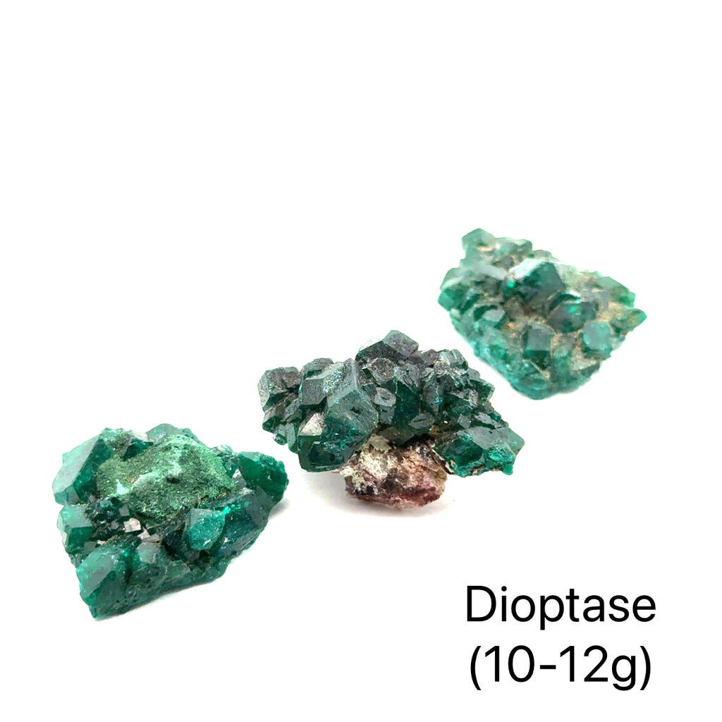 Dioptase Gemstone grouping on white 10-12g overview