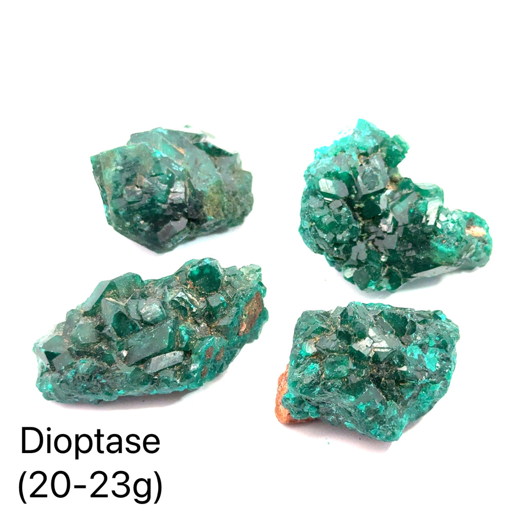 Dioptase Gemstone grouping on white 20-23g overview