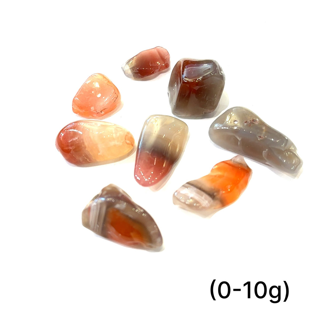 Ethically sourced Malawi Agate tumbled gemstone with natural earthy tones grouping of gemstone (0-10g) on white overview 