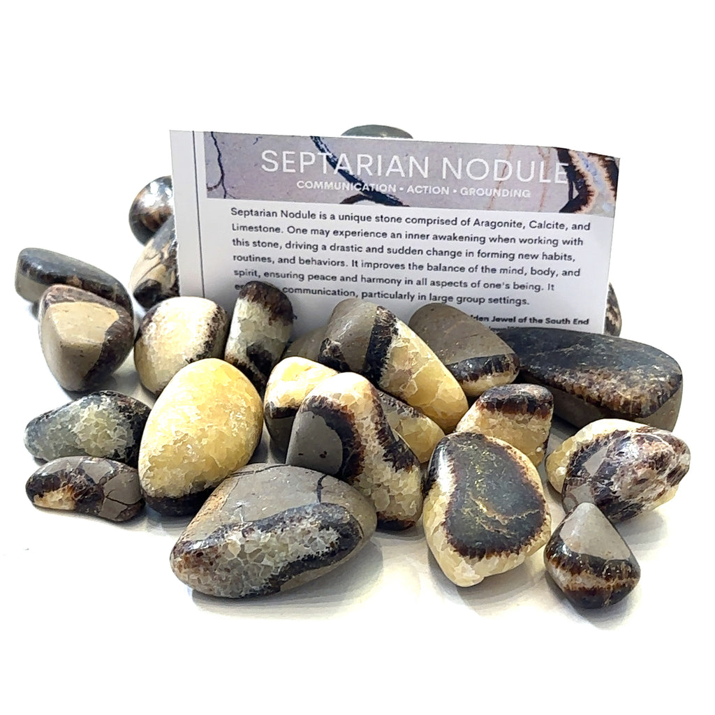 Ethically sourced Septarian Nodule tumbled gemstone with natural patterns with a informational card front center overview