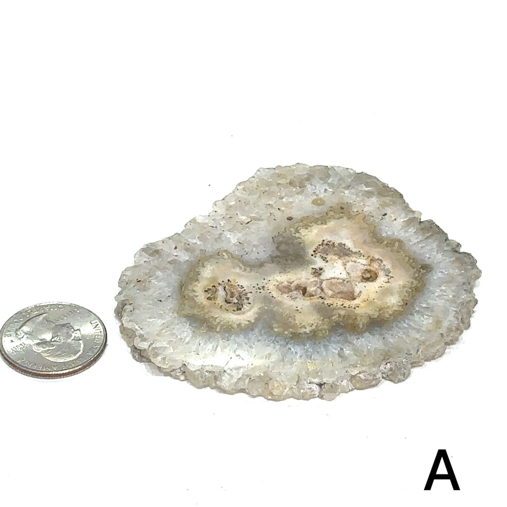 Ethically sourced raw and polished agate gemstone slice with natural patterns #A front view with quarter on the left side 