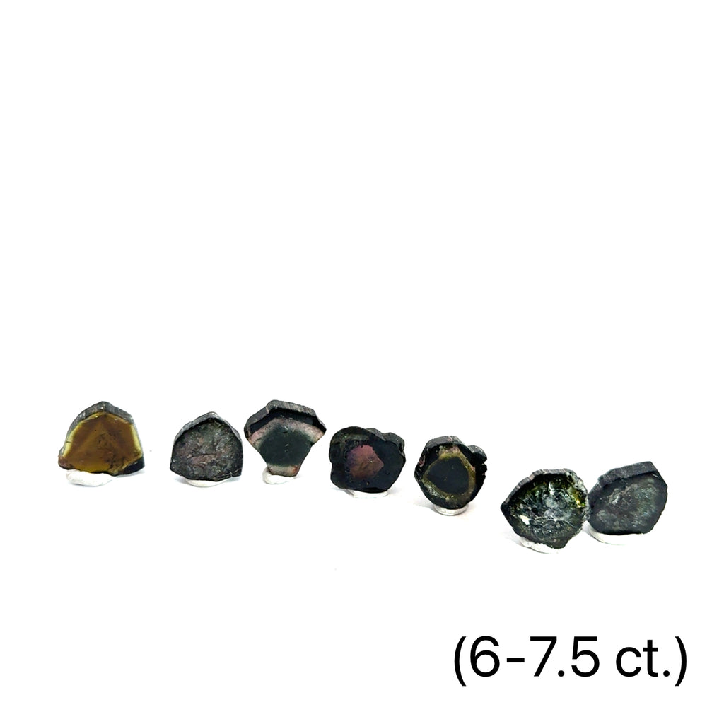 Green Tourmaline Slice grouping 6-7.5ct on white front view