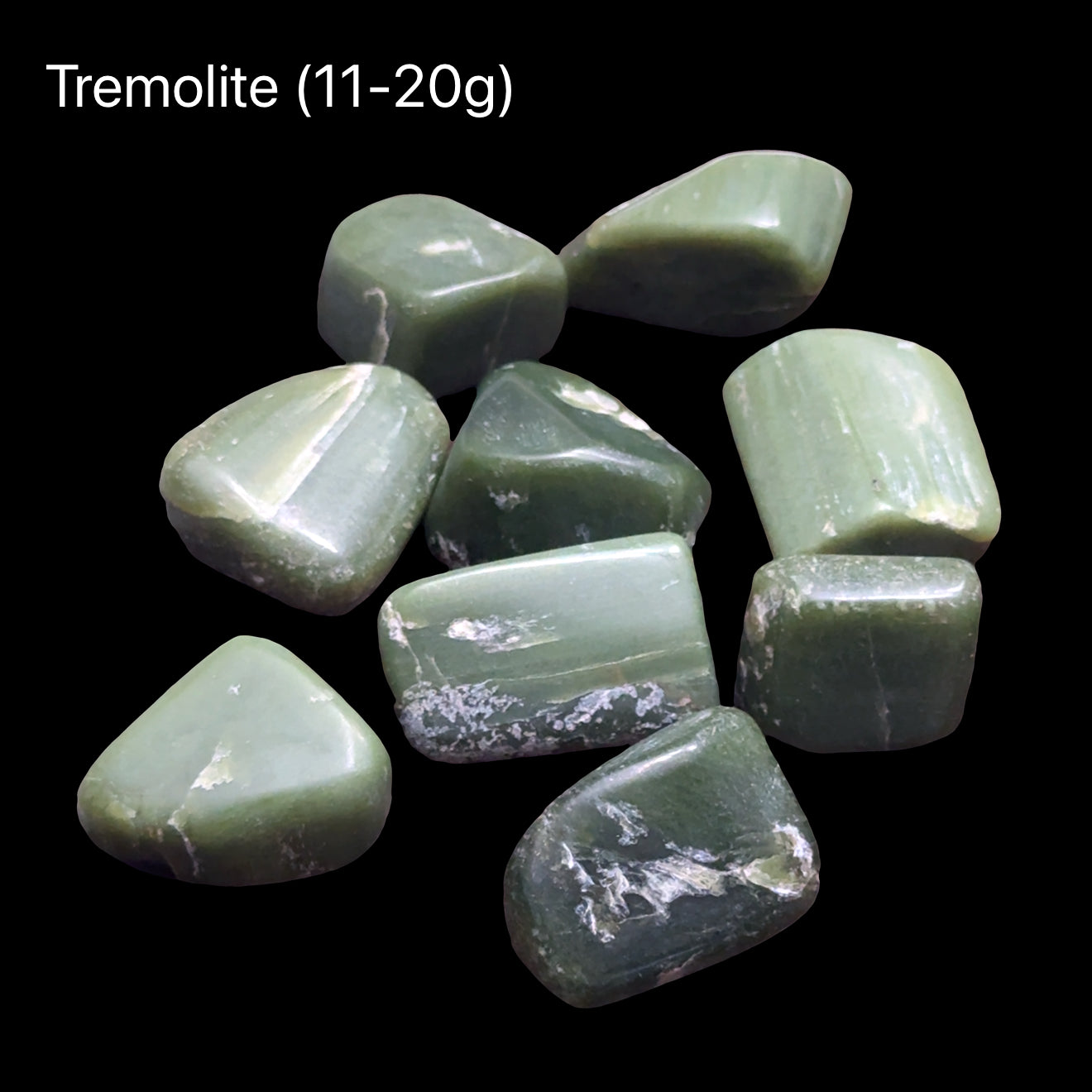 Green tremolite crystal on a black background with a weight of (11-20g), front view.